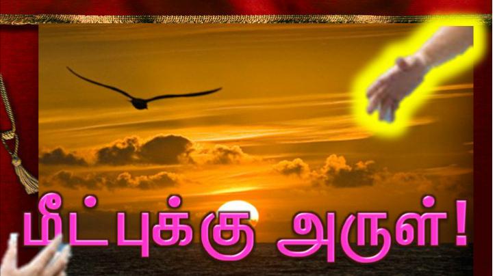 தம் ஒரே மகன் மீது நம்பிக்கை கொள்ளும் எவரும் அழியாமல் நிலைவாழ்வு பெறும் பொருட்டு 
அந்த மகனையே அளிக்கும் அளவுக்குக் கடவுள் உலகின்மேல் அன்பு கூர்ந்தார்.