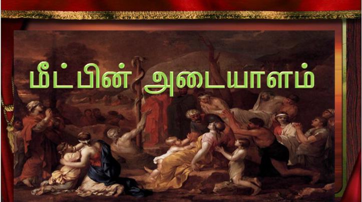 தம் ஒரே மகன் மீது நம்பிக்கை கொள்ளும் எவரும் அழியாமல் நிலைவாழ்வு பெறும் பொருட்டு 
அந்த மகனையே அளிக்கும் அளவுக்குக் கடவுள் உலகின்மேல் அன்பு கூர்ந்தார்.