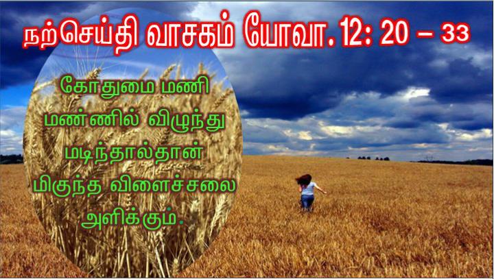 தம் ஒரே மகன் மீது நம்பிக்கை கொள்ளும் எவரும் அழியாமல் நிலைவாழ்வு பெறும் பொருட்டு 
அந்த மகனையே அளிக்கும் அளவுக்குக் கடவுள் உலகின்மேல் அன்பு கூர்ந்தார்.