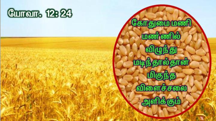 தம் ஒரே மகன் மீது நம்பிக்கை கொள்ளும் எவரும் அழியாமல் நிலைவாழ்வு பெறும் பொருட்டு 
அந்த மகனையே அளிக்கும் அளவுக்குக் கடவுள் உலகின்மேல் அன்பு கூர்ந்தார்.