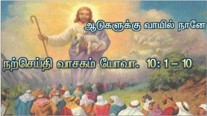 நல்ல ஆயன் நானே. நல்ல ஆயர் ஆடுகளுக்காகத் தம் உயிரைக் கொடுப்பார்