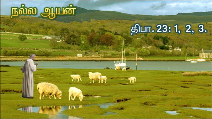 நல்ல ஆயன் நானே. நல்ல ஆயர் ஆடுகளுக்காகத் தம் உயிரைக் கொடுப்பார்