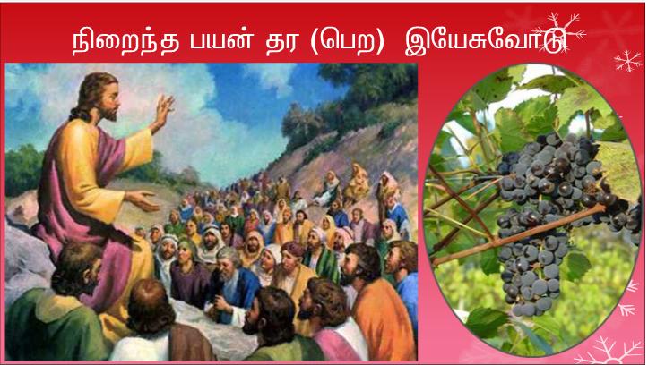 நல்ல ஆயன் நானே. நல்ல ஆயர் ஆடுகளுக்காகத் தம் உயிரைக் கொடுப்பார்