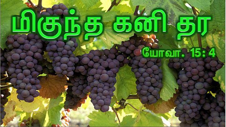 நல்ல ஆயன் நானே. நல்ல ஆயர் ஆடுகளுக்காகத் தம் உயிரைக் கொடுப்பார்