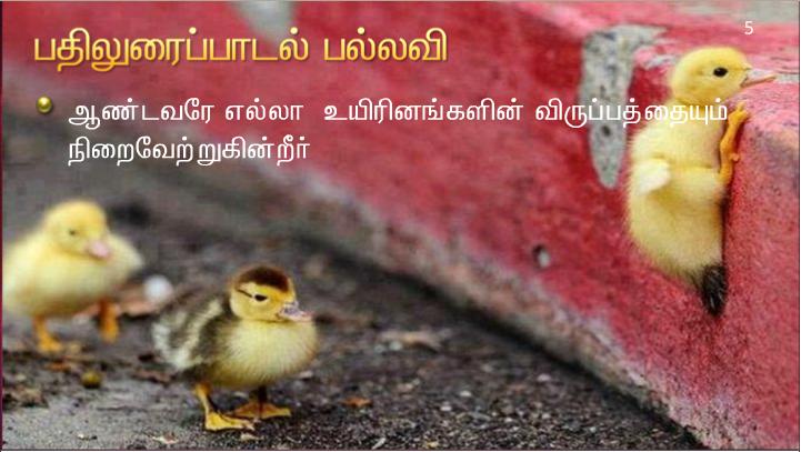 இயேசு செய்த இந்த அரும் அடையாளத்தைக் கண்ட மக்கள், உலகிற்கு வரவிருந்த இறைவாக்கினர் உண்மை யில் இவரே  என்றார்கள்.