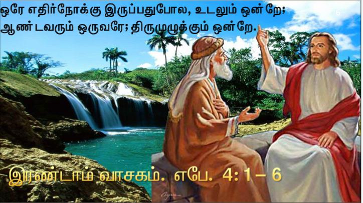 இது எனது உடல்: இது எனது உடன்படிக்கையின் இரத்தம்.