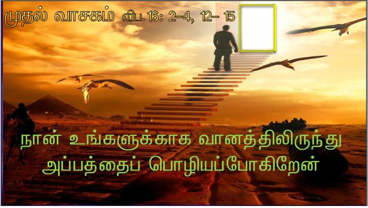 இயேசு செய்த இந்த அரும் அடையாளத்தைக் கண்ட மக்கள், உலகிற்கு வரவிருந்த இறைவாக்கினர் உண்மை யில் இவரே  என்றார்கள்.