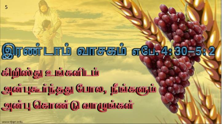 தந்தை, மகன், தூய ஆவியார் பெயரால் திருமுழுக்குக் கொடுங்கள்.