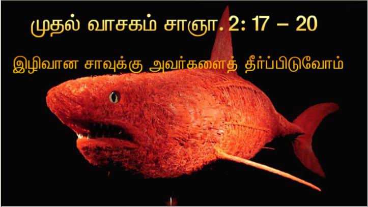 வழியில் அவர் தம் சீடரை நோக்கி, நான் யார் என மக்கள் சொல்கிறார்கள்?.
