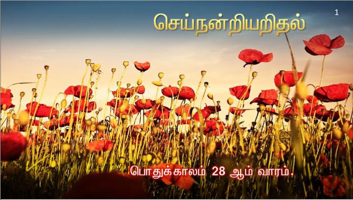 வழியில் அவர் தம் சீடரை நோக்கி, நான் யார் என மக்கள் சொல்கிறார்கள்?.