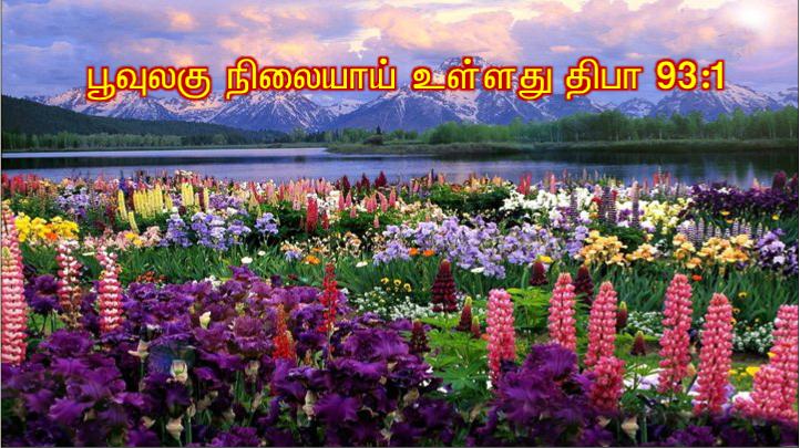 வழியில் அவர் தம் சீடரை நோக்கி, நான் யார் என மக்கள் சொல்கிறார்கள்?.