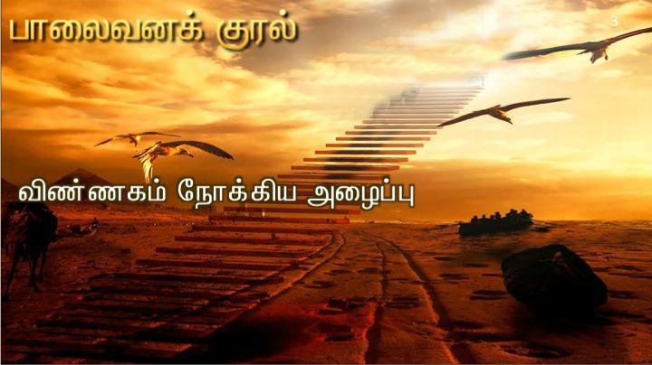 இயேசுவே, தாவீதின் மகனே, எனக்கு இரங்கும்.