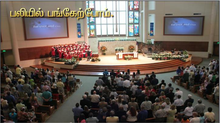 உன்னதத்தில் கடவுளுக்கு மாட்சி உரித்தாகுக! உலகில் அவருக்கு உகந்தோருக்கு அமைதி