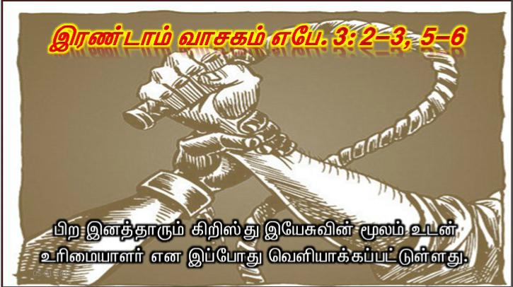 ஆண்டவரின் தூதர் யோசேப்புக்குக் கனவில் தோன்றி, 
'உம் மனைவி மரியா ஒரு மகனைப் பெற்றெடுப்பார்.
அவருக்கு இயேசு எனப் பெயரிடுவீர். 
ஏனெனில் அவர் தம் மக்களை அவர்களுடைய பாவங்களிலிருந்து மீட்பார்' என்றார்