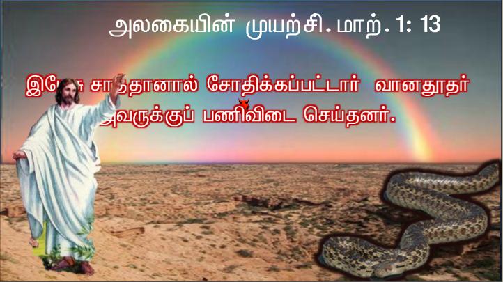 உன்னதத்தில் கடவுளுக்கு மாட்சி உரித்தாகுக! உலகில் அவருக்கு உகந்தோருக்கு அமைதி