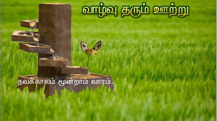 இவரே என் மைந்தர்: நான் தேர்ந்து கொண்டவர் இவரே.  இவரு க்குச் செவிசாயுங்கள்