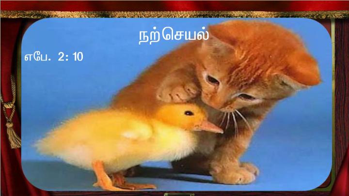 இவரே என் மைந்தர்: நான் தேர்ந்து கொண்டவர் இவரே.  இவரு க்குச் செவிசாயுங்கள்