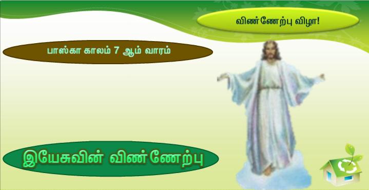 என் ஆடுகள் எனது குரலுக்குச் செவிசாய்க்கின்றன