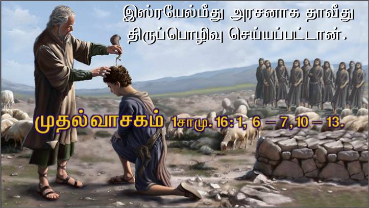 உலகின் ஒளி நானே: என்னைப் பின்தொடர்பவர் வாழ்வுக்கு வழி காட்டும் ஒளியைக் கொண்டிருப்பார் ; என்கிறார் ஆண்டவர். 