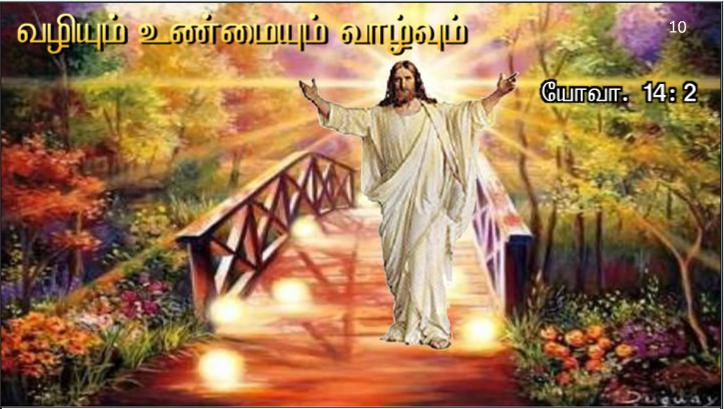 வழியும் உண்மையும் வாழ்வும் நானே. என் வழியாய் அன்றி எவரும் தந்தையிடம் வருவதில்லை, என்கிறார் ஆண்டவர்