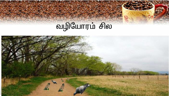 இறைவனின் வார்த்தையே விதை, அதை விதைப்பவர் கிறிஸ்துவே: அவரைக் கண்டடைபவர் எல்லாரும் என்றென்றும் நிலைத்திருப்பர்.