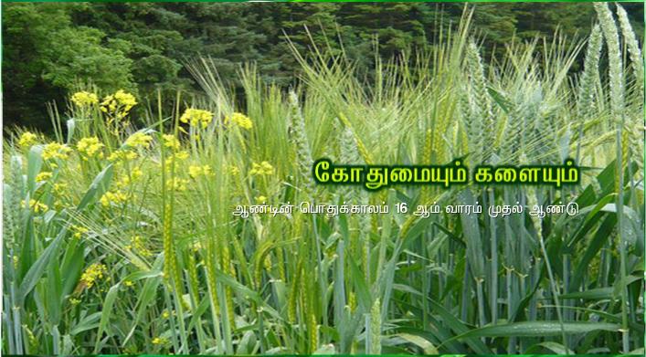 தந்தையே, விண்ணுக்கும் மண்ணுக்கும் ஆண்டவரே, உம்மைப் போற்றுகிறேன். ஏனெனில் ஞானிகளுக்கும் அறிஞர்களுக்கும் இவற்றை மறைத்துக் குழந்தைகளுக்கு வெளிப்படுத்தினீர்.