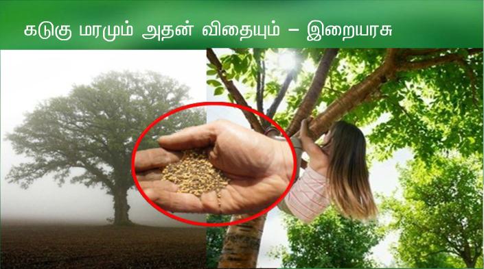தந்தையே, விண்ணுக்கும் மண்ணுக்கும் ஆண்டவரே, உம்மைப் போற்றுகிறேன். ஏனெனில் ஞானிகளுக்கும் அறிஞர்களுக்கும் இவற்றை மறைத்துக் குழந்தைகளுக்கு வெளிப்படுத்தினீர்.
