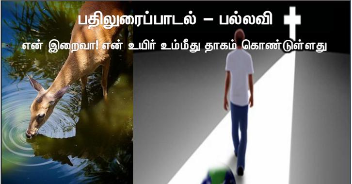 உங்கள் தந்தை ஒருவரே. அவர் விண்ணகத்தில் இருக்கிறார். நீங்கள் ஆசிரியர் எனவும் அழைக்கப்பட வேண்டாம். ஏனெனில் கிறிஸ்து ஒருவரே உங்கள் ஆசிரியர்., 