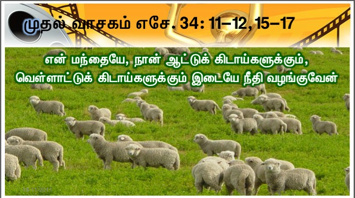 ஆண்டவர் பெயரால் வருகிறவர் போற்றப்பெறுக! வரவிருக்கும் நம் தந்தை தாவீதின் அரசு போற்றப்பெறுக!.