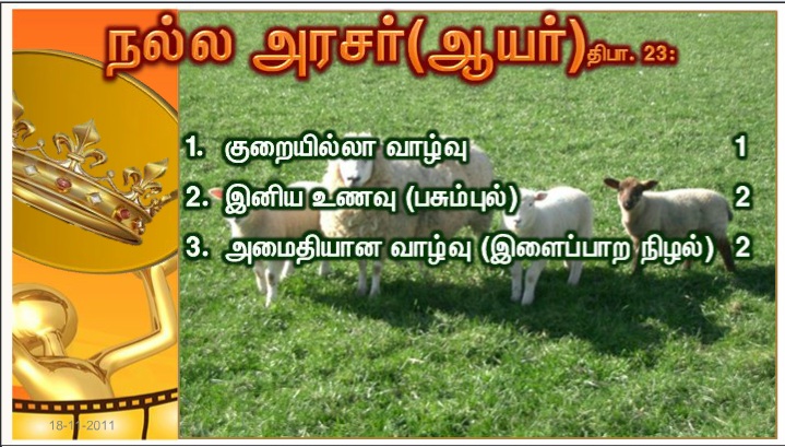 ஆண்டவர் பெயரால் வருகிறவர் போற்றப்பெறுக! வரவிருக்கும் நம் தந்தை தாவீதின் அரசு போற்றப்பெறுக!.