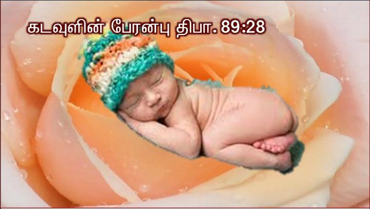 மரியா, அஞ்சவேண்டாம்: கடவுளின் அருளைக் கண்டடைந்துள்ளீர்.