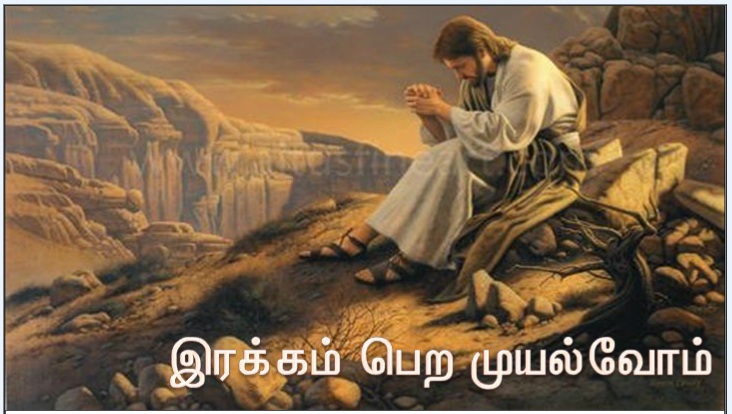 மனிதர் அப்பத்தினால் மட்டுமல்ல, மாறாக, கடவுளின் வாய்ச்சொல் ஒவ்வொன்றாலும் வாழ்வர்.