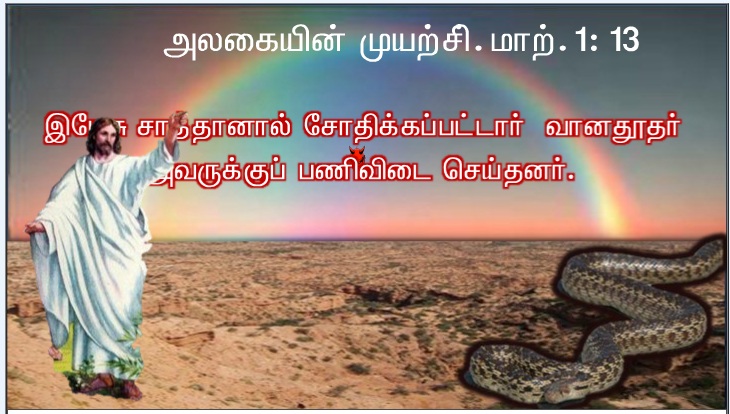 மனிதர் அப்பத்தினால் மட்டுமல்ல, மாறாக, கடவுளின் வாய்ச்சொல் ஒவ்வொன்றாலும் வாழ்வர்.