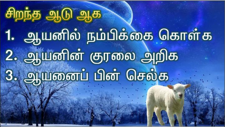 நல்ல ஆயன் நானே. நல்ல ஆயர் ஆடுகளுக்காகத் தம் உயிரைக் கொடுப்பார். 