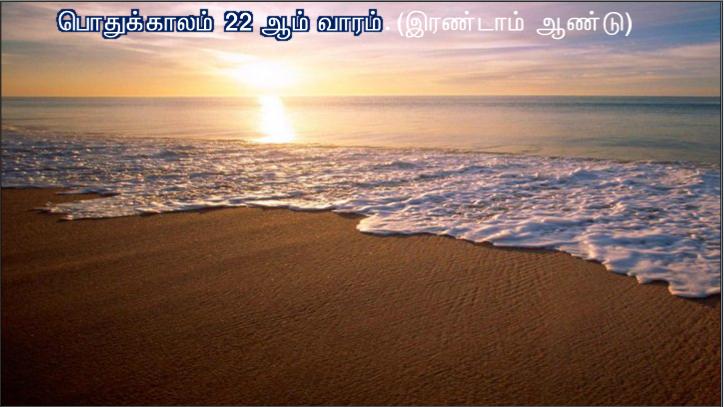 நீங்கள் கடவுளின் கட்டளைகளைக் கைவிட்டு மனித மரபைப் பின்பற்றி வருகிறவர்கள்.