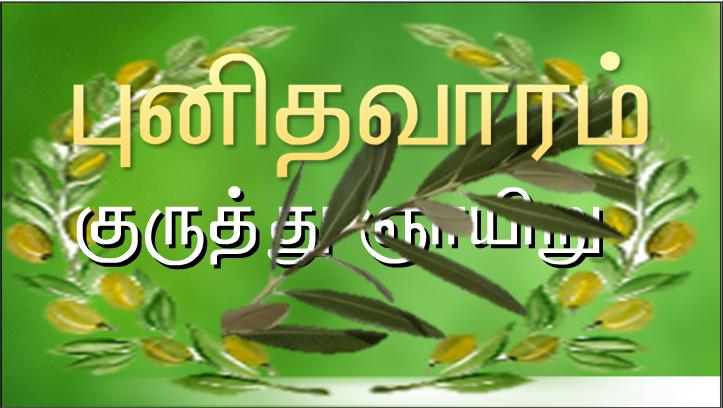 உங்களுள் பாவம் இல்லாதவர் முதலில் இப்பெண்மேல் கல் எறியட்டும்!