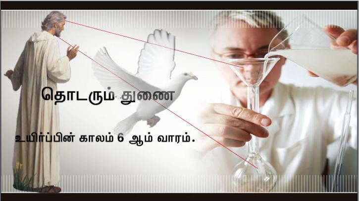 என் ஆடுகள் எனது குரலுக்குச் செவிசாய்க்கின்றன. 
எனக்கும் அவற்றைத் தெரியும். அவையும் என்னைப்பின் தொடர்கின்றன.