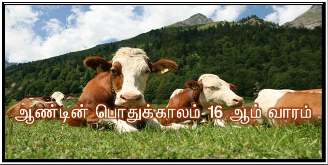 நீங்களே அவர்களுக்கு உணவு கொடுங்கள்.