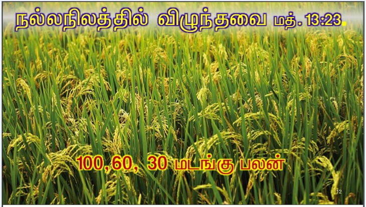 என் அன்பார்ந்த மைந்தர் இவரே: இவருக்குச் செவிசாயுங்கள் '. 