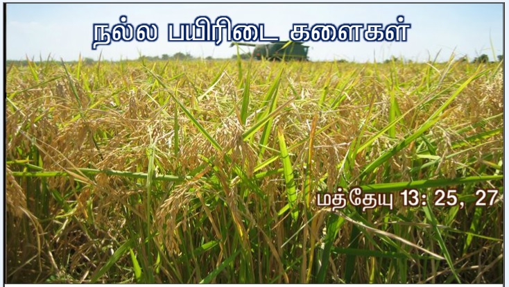 என் அன்பார்ந்த மைந்தர் இவரே: இவருக்குச் செவிசாயுங்கள் '. 