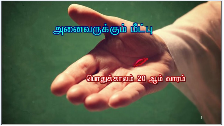 என் அன்பார்ந்த மைந்தர் இவரே: இவருக்குச் செவிசாயுங்கள் '. 