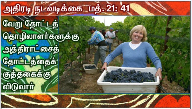 என் அன்பார்ந்த மைந்தர் இவரே: இவருக்குச் செவிசாயுங்கள் '. 